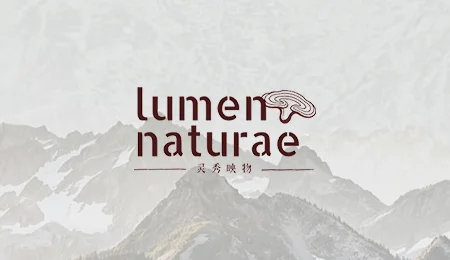 深山寻茶，百年野韵｜灵秀映物的恩施制茶之旅