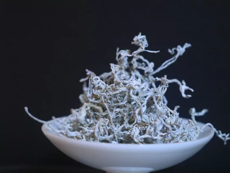 藤茶