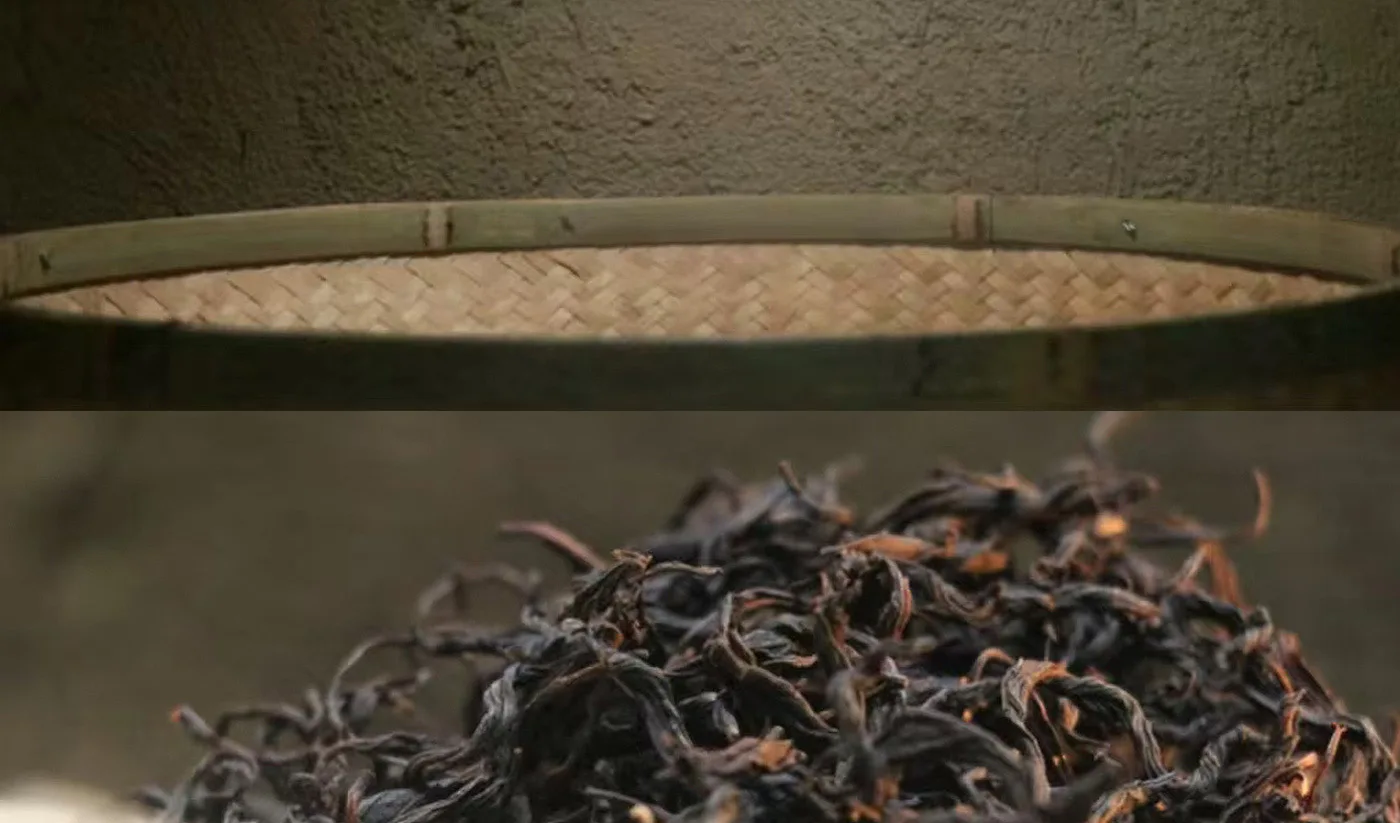 Enshi Tea - Lumen Naturae