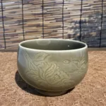 Camellia Master Cup