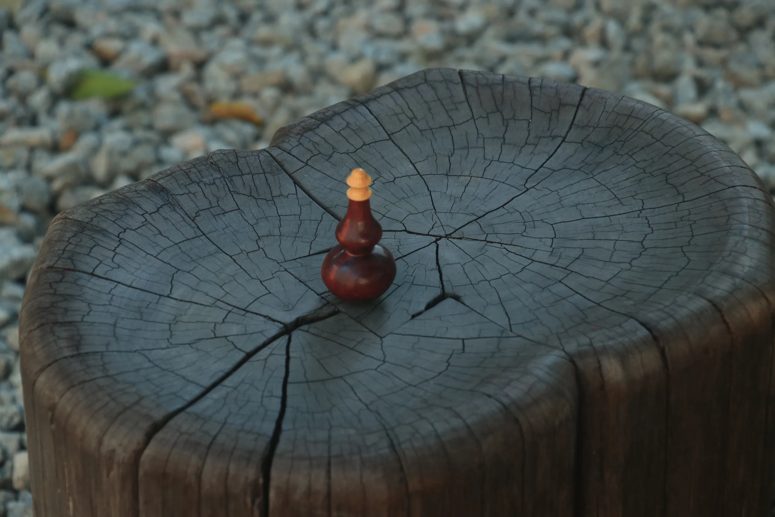 Opening Gourd - Image 7